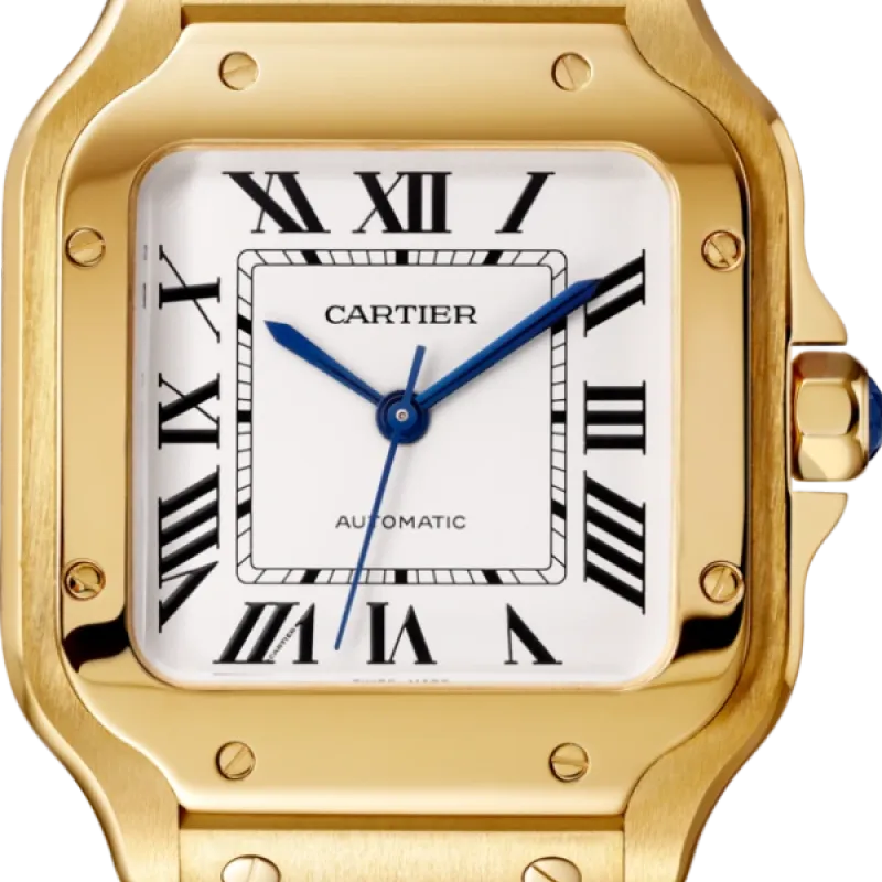 CARTIER santos 18kt Yellow Gold Men's WatchItem -WGSA0007(AAAAA)
